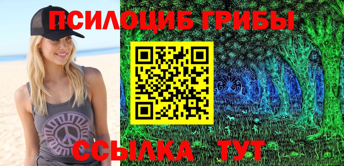 Галлюциногенные грибы Psilocybe Рязань